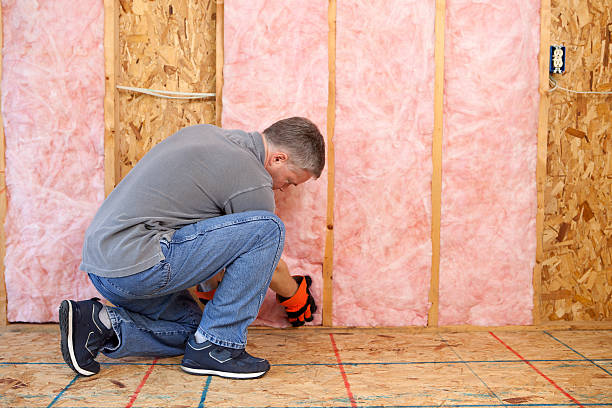 Best Insulation Maintenance and Repair in Hot Springs Village, AR
